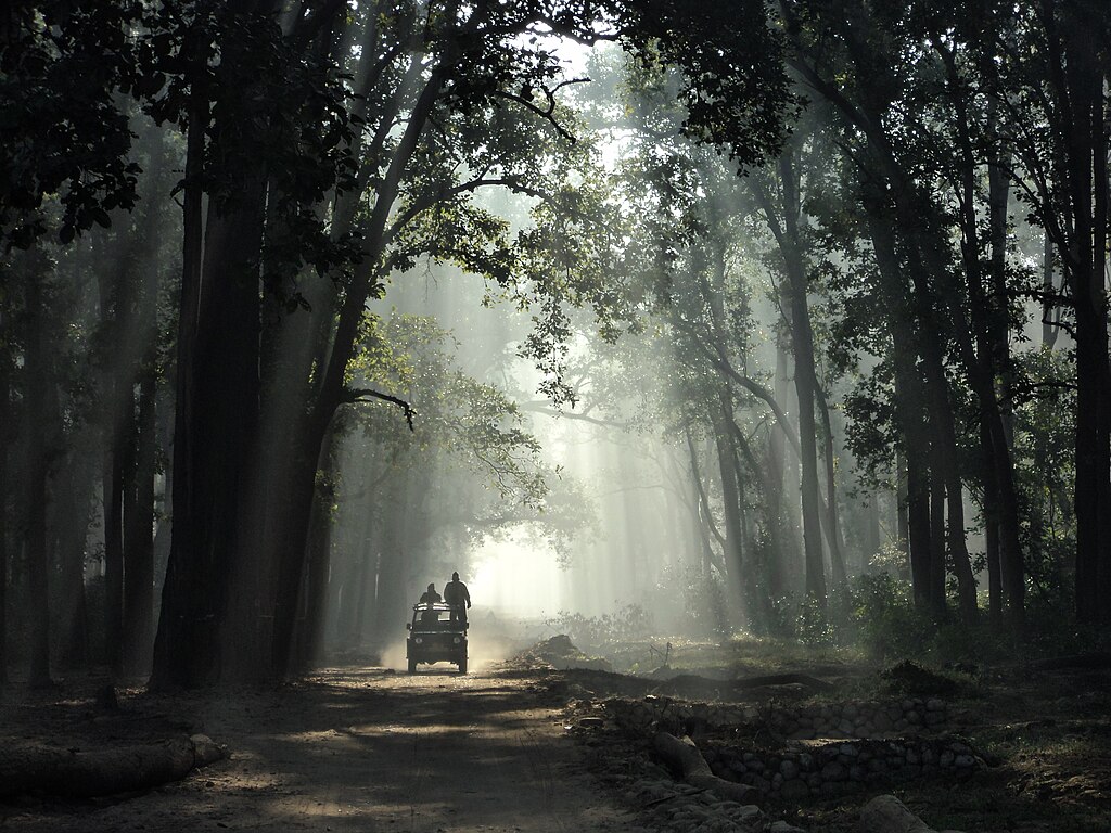 Jim Corbett Safari